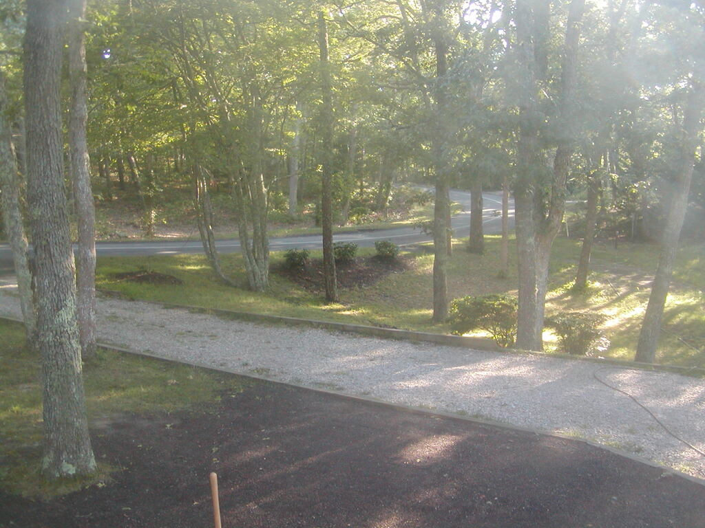 No description provided for: /2012/07-09/0802-deck-plants/photo14.html