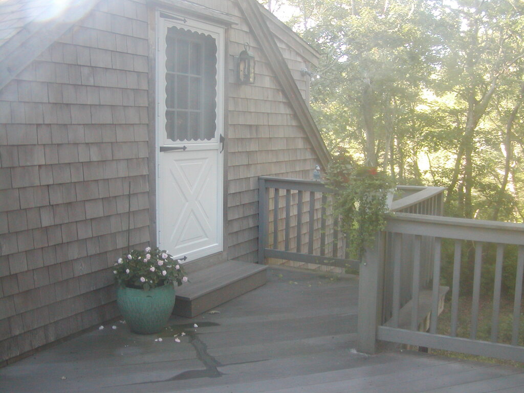 No description provided for: /2012/07-09/0802-deck-plants/photo17.html