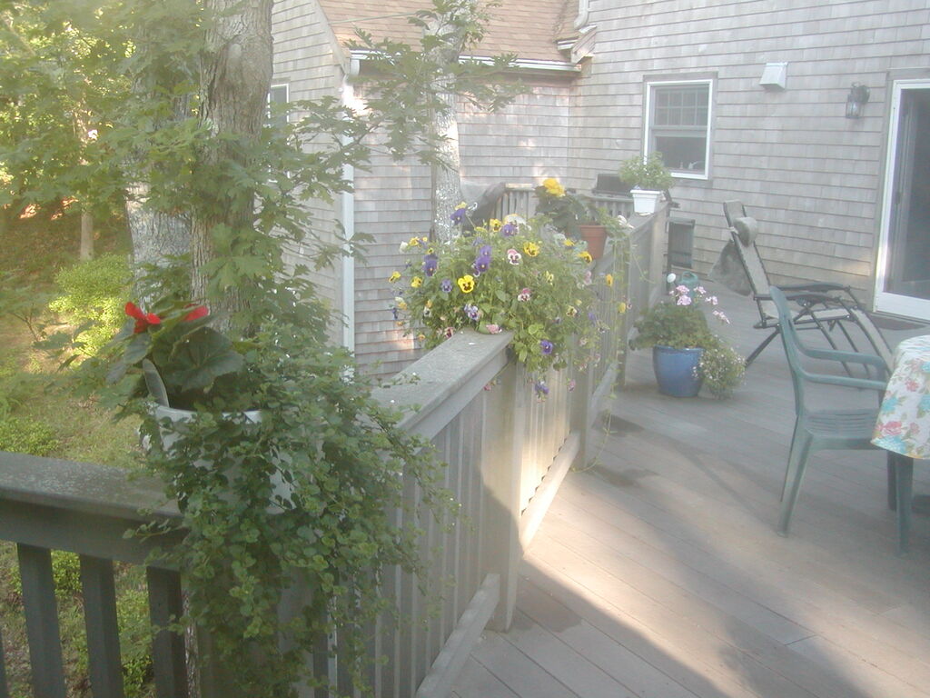 No description provided for: /2012/07-09/0802-deck-plants/photo18.html