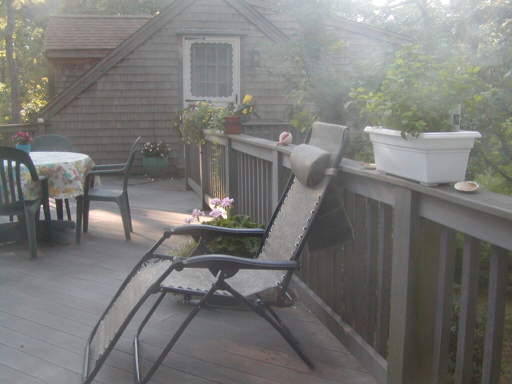 No description provided for: /2012/07-09/0802-deck-plants/photo19.html