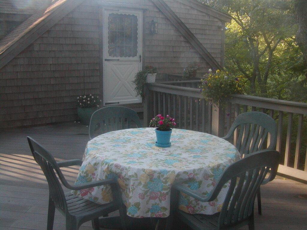 No description provided for: /2012/07-09/0802-deck-plants/photo20.html