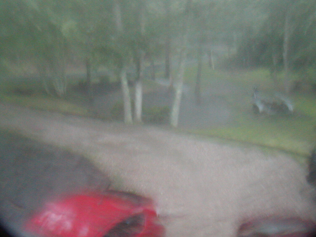 No description provided for: /2012/07-09/0905-lawn-flooding/photo02.html