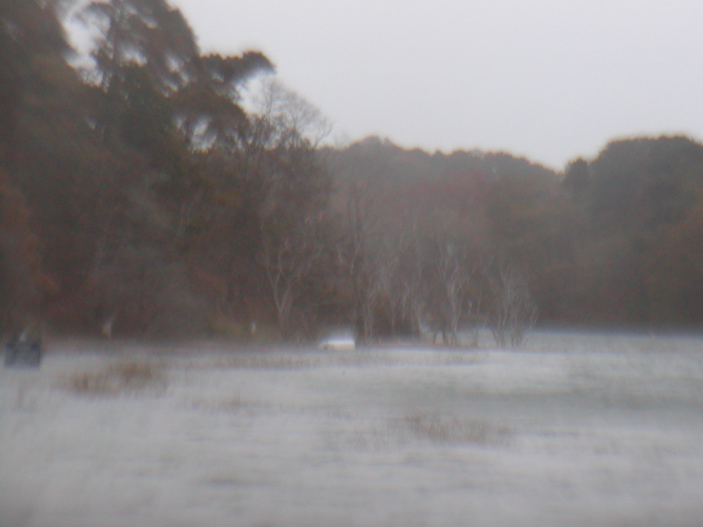 No description provided for: /2012/10-12/1029-sandy-high-tide/_1/photo11.html