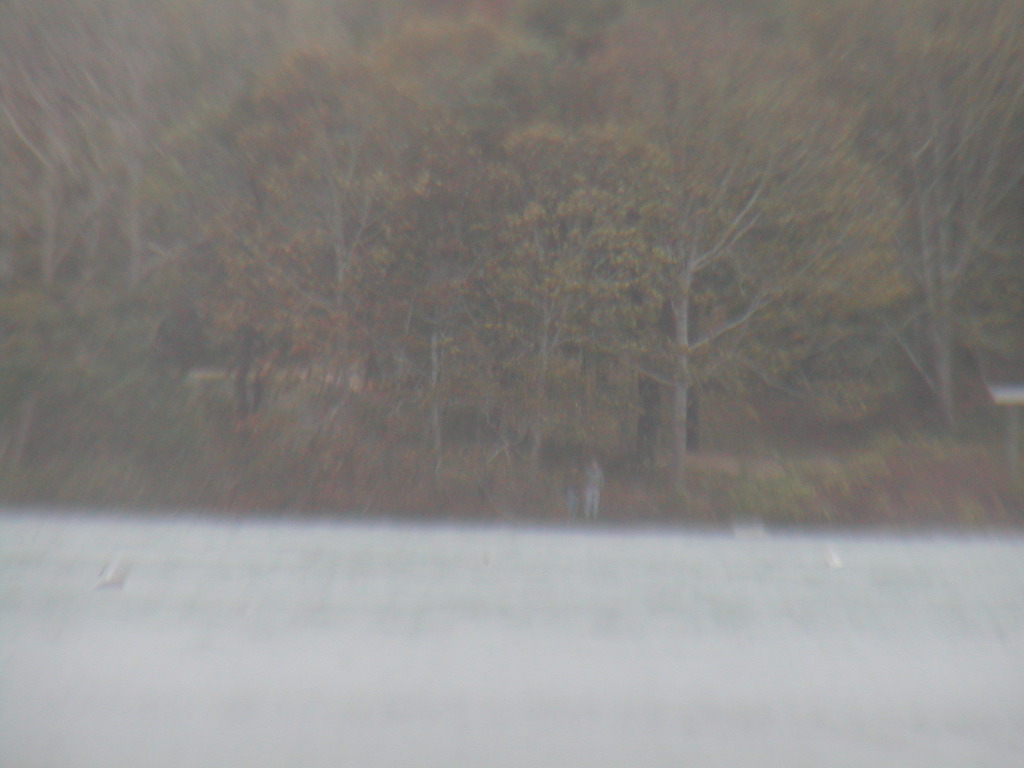 No description provided for: /2012/10-12/1029-sandy-high-tide/_2/photo22.html