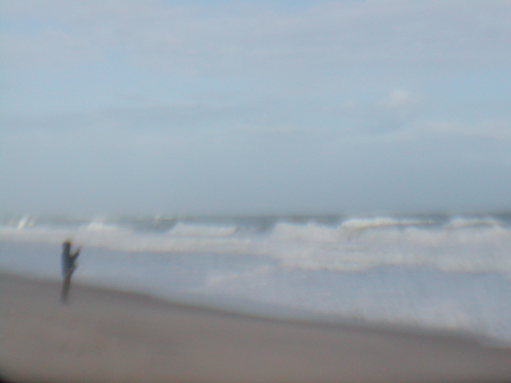 No description provided for: /2012/10-12/1030-sandy-nauset/photo04.html