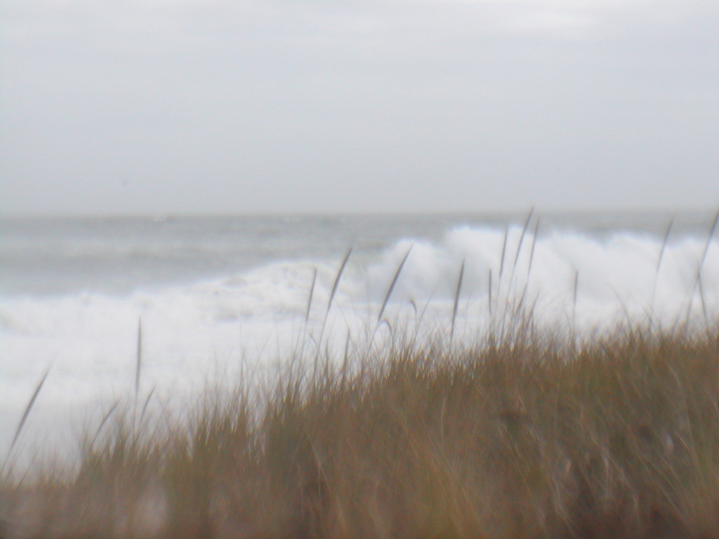 No description provided for: /2012/10-12/1030-sandy-nauset/photo05.html