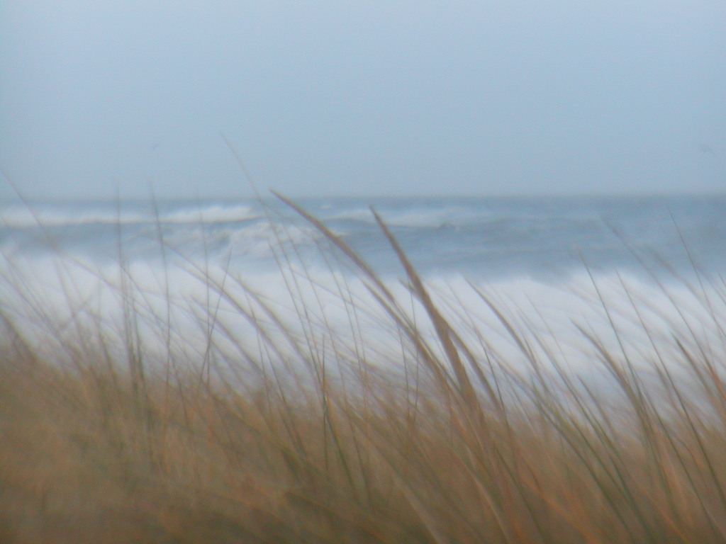 No description provided for: /2012/10-12/1030-sandy-nauset/photo09.html