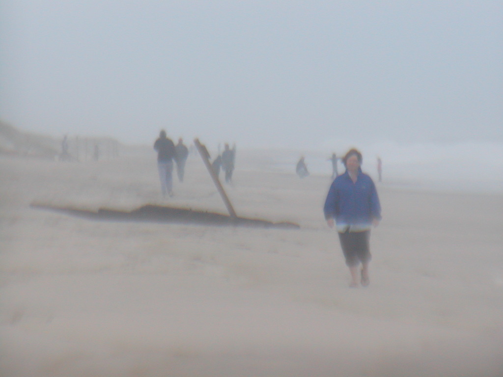 No description provided for: /2012/10-12/1030-sandy-oyc/photo02.html