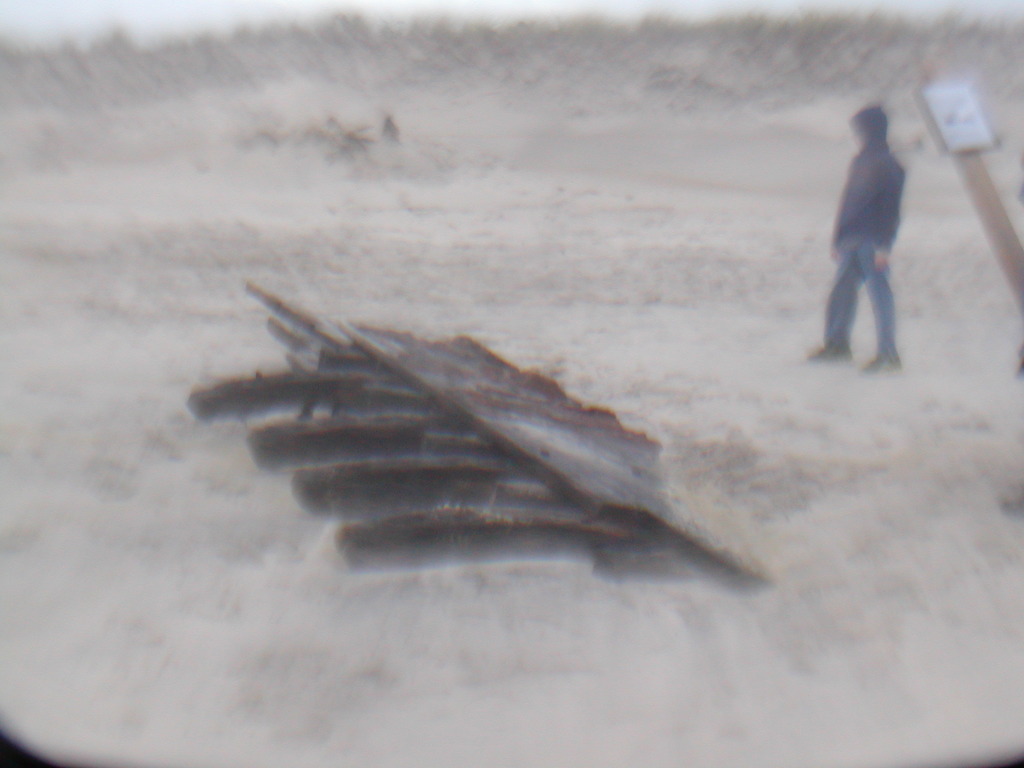 No description provided for: /2012/10-12/1030-sandy-oyc/photo03.html