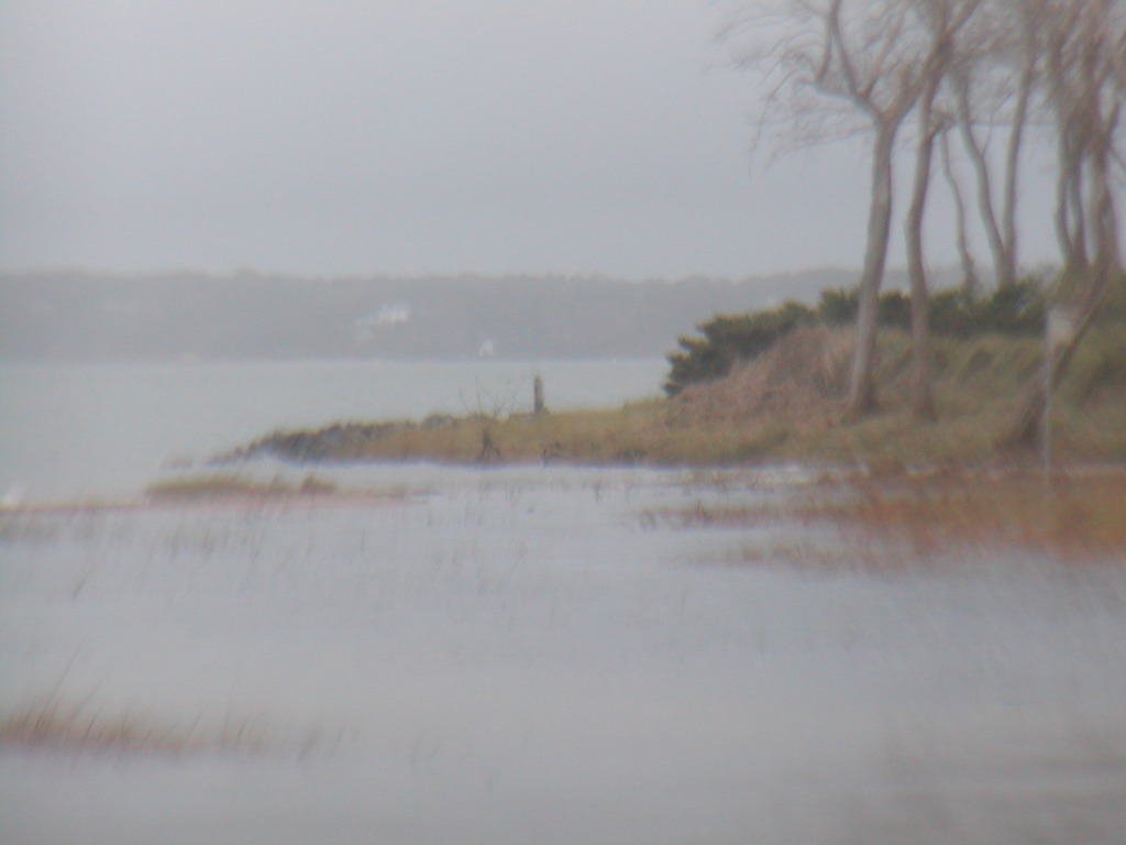 No description provided for: /2012/10-12/1030-sandy-qhc-beach/_1/photo08.html