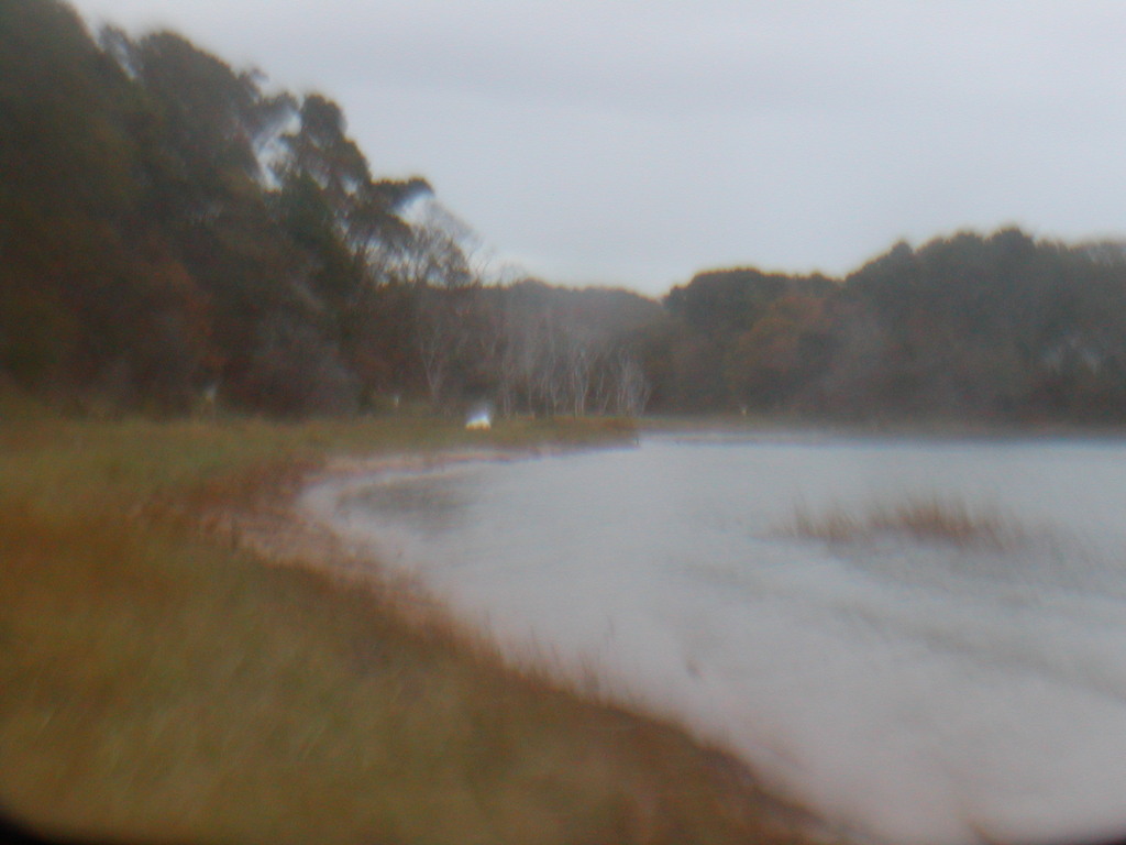 No description provided for: /2012/10-12/1030-sandy-qhc-beach/_1/photo09.html