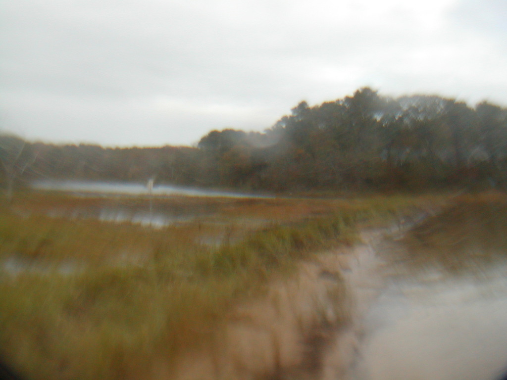 No description provided for: /2012/10-12/1030-sandy-qhc-beach/_2/photo18.html