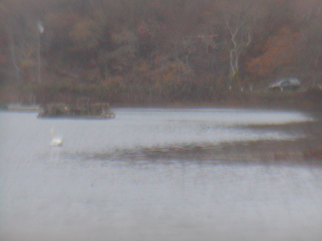 No description provided for: /2012/10-12/1030-sandy-qhc-beach/_2/photo20.html