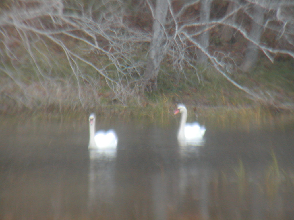 No description provided for: /2012/10-12/1030-sandy-qhc-beach/_2/photo27.html