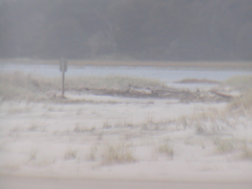 No description provided for: /2012/10-12/1030-sandy-washover/photo04.html