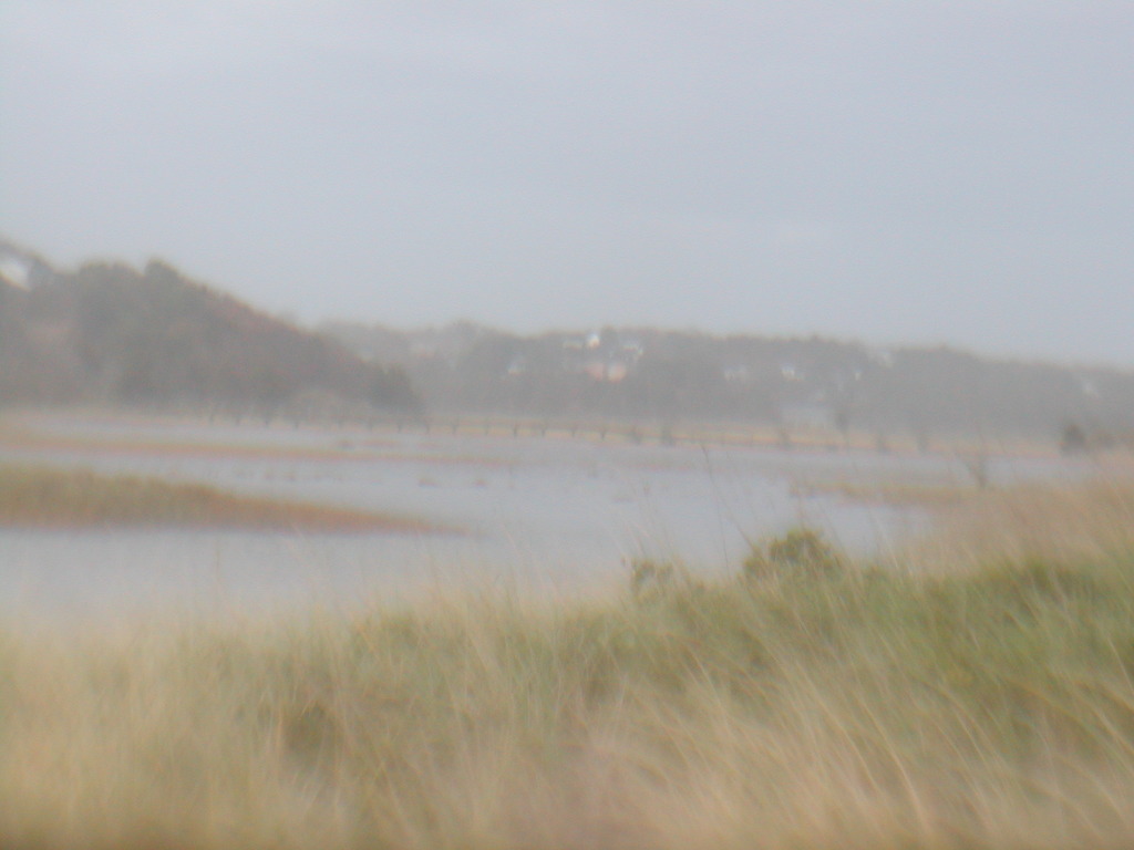 No description provided for: /2012/10-12/1030-sandy-washover/photo07.html