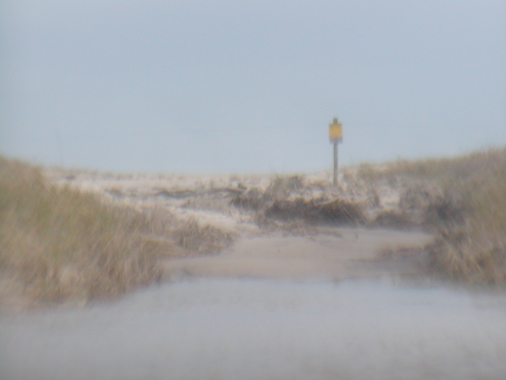 No description provided for: /2012/10-12/1030-sandy-washover/photo09.html