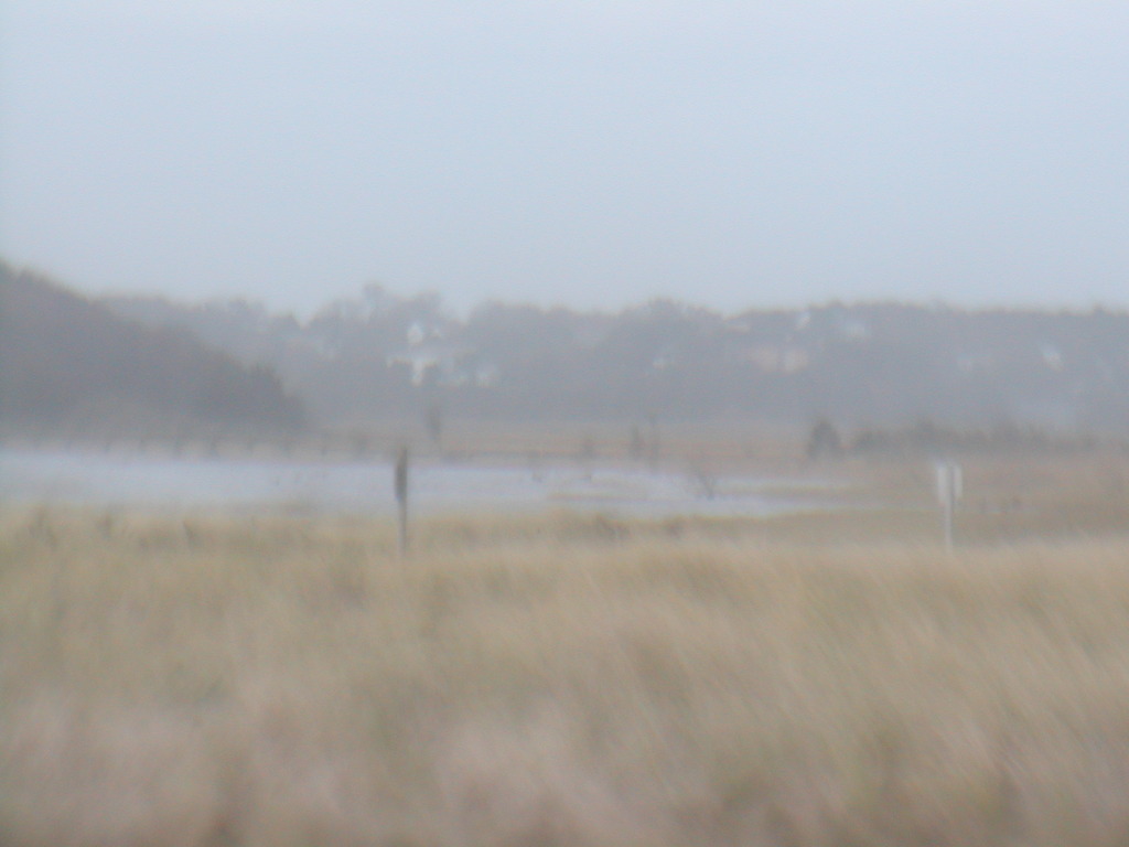 No description provided for: /2012/10-12/1030-sandy-washover/photo23.html