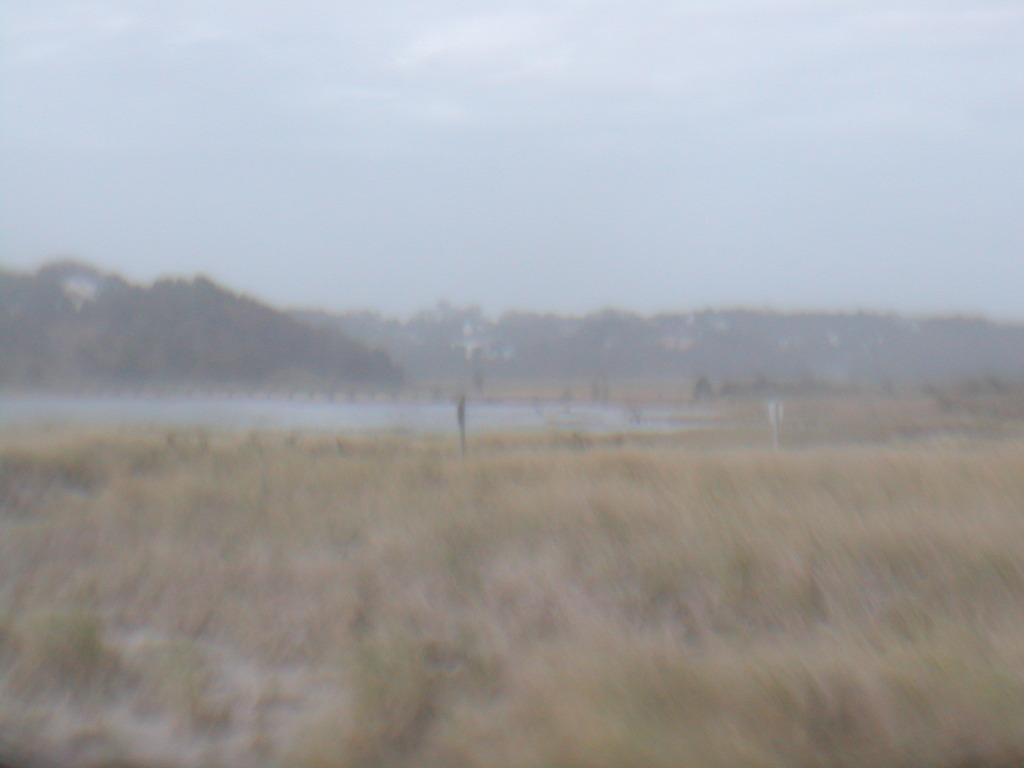 No description provided for: /2012/10-12/1030-sandy-washover/photo24.html