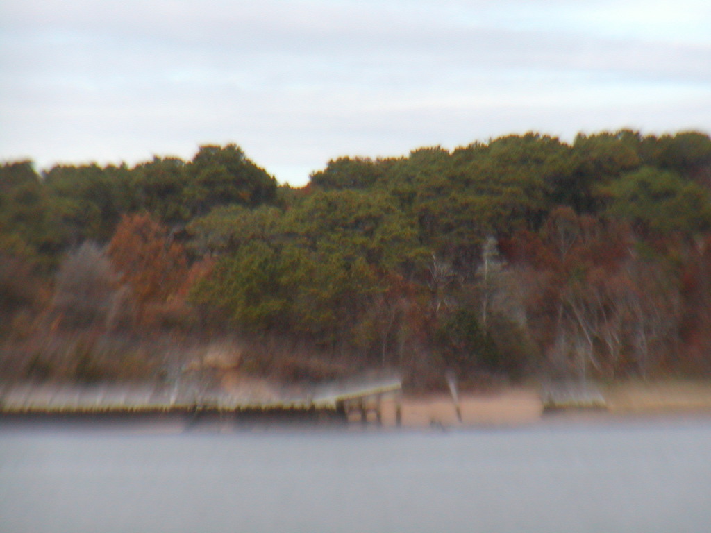 No description provided for: /2012/10-12/1102-haulout-sail/photo07.html