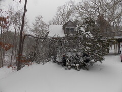 Image file: photo03.jpg