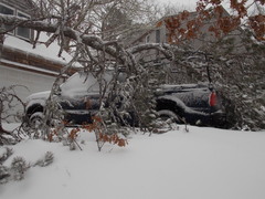 Image file: photo05.jpg