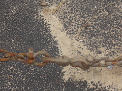 Image file: photo08.jpg