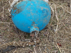 Image file: photo09.jpg