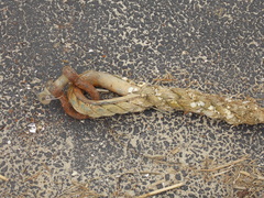 Image file: photo11.jpg