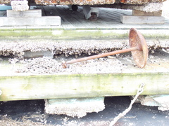 Image file: photo12.jpg