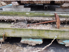 Image file: photo13.jpg