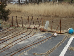 Image file: photo15.jpg