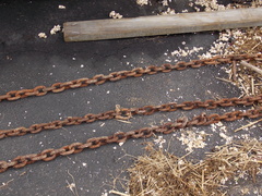 Image file: photo18.jpg