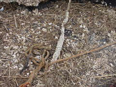 Image file: photo20.jpg