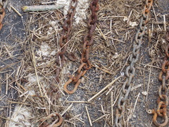 Image file: photo27.jpg