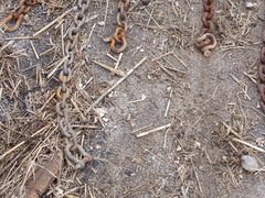 Image file: photo28.jpg