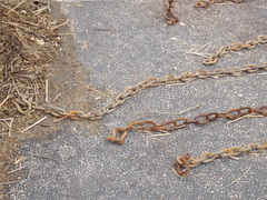 Image file: photo31.jpg