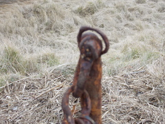 Image file: photo40.jpg