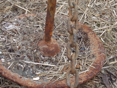 Image file: photo41.jpg