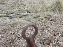 Image file: photo42.jpg