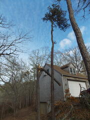 Image file: photo04.jpg