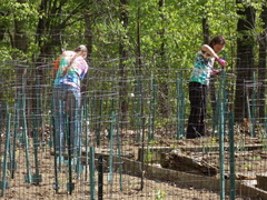 Image file: photo06.jpg