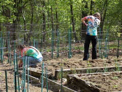 Image file: photo08.jpg