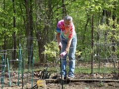 Image file: photo11.jpg