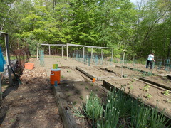 Image file: photo13.jpg