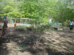 Image file: photo14.jpg