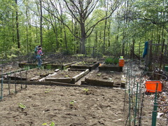 Image file: photo16.jpg