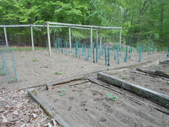 Image file: photo18.jpg