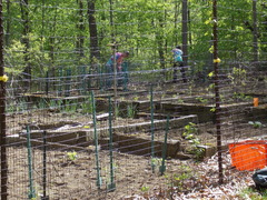 Image file: photo24.jpg