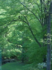 Image file: photo01.jpg